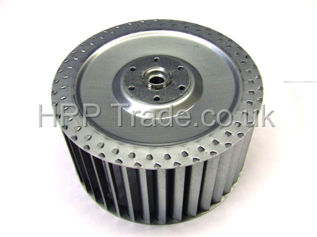 OIL SPARES  D07007W
